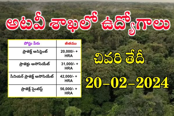 అటవీ శాఖలో ఉద్యోగాలు భర్తీ | WII Project Assistant, Project Associate, Project Scientist Jobs Recruitment 2024