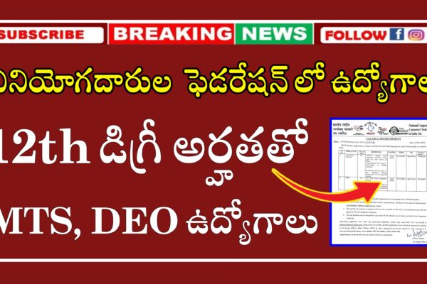 వినియోగదారులు ఫెడరేషన్ లో డేటా ఎంట్రీ ఆపరేటర్ మరియు మల్టీ టాస్కింగ్ స్టాఫ్ ఉద్యోగాలు | NCCF Data Entry Operator and MTS Recruitment 2024 | Latest MTS & DEO Jobs