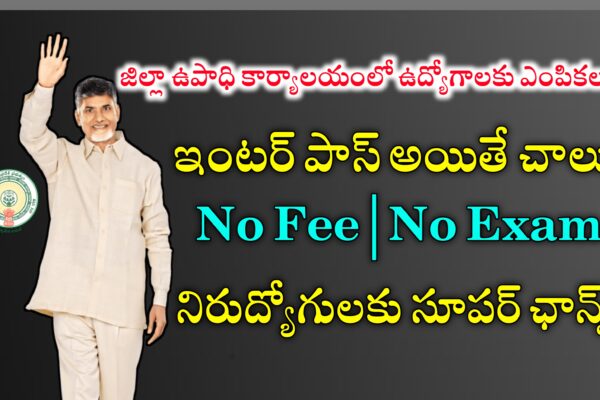 ఆంధ్రప్రదేశ్ లో జిల్లా గ్రామీణాభివృద్ధి సంస్థ ద్వారా ఉద్యోగ అవకాశాలు | AP Mega Job Mela | Latest Jobs Mela In Andhrapradesh