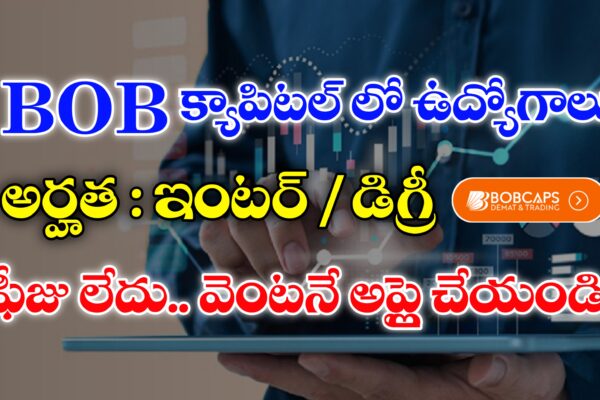 BOB క్యాపిటల్ లో ఇంటర్ అర్హతతో ఉద్యోగాలు | BOB Capital Jobs | Latest Bank jobs Notifications 2025