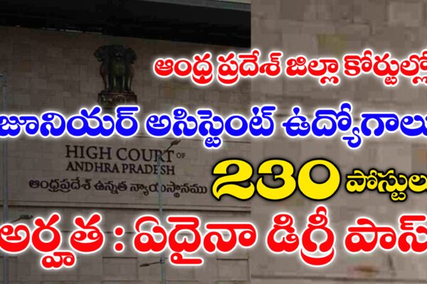 ఏపీ జిల్లా కోర్టుల్లో 230 జూనియర్ అసిస్టెంట్ ఉద్యోగాలు | AP District Court Junior Assistant Jobs Recruitment 2025 | AP Highcourt Junior Assistant Jobs Notification 2025 AP District Court Junior Assistant Jobs Recruitment 2025