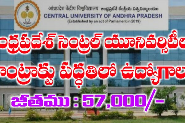 సెంట్రల్ యూనివర్సిటీ ఆఫ్ ఆంధ్ర ప్రదేశ్ - Central University of Andhra Pradesh Jobs