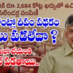 దీపం పథకం స్టేటస్ | Deepam Scheme Status