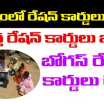 ఏపీ కొత్త రేషన్ కార్డులు