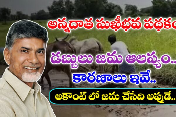 అన్నదాత సుఖీభవ పథకం డబ్బులు మీ అకౌంట్లో ఎప్పుడు జమ చేస్తారో తెలుసా ? | Annadhata Sukhibava Scheme పీఎం కిసాన్ - అన్నదాత సుఖీభవ పథకం
