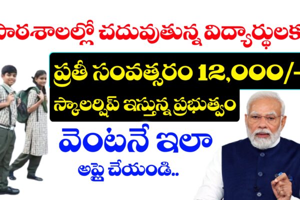 ప్రభుత్వ పాఠశాలల్లో చదువుతున్న విద్యార్థులకు ప్రతీ సంవత్సరం 12,000/- స్కాలర్షిప్ ఇస్తున్న ప్రభుత్వం | NMMSS Scholarship 2025-26 Apply Online NMMSS Scholarship 2025