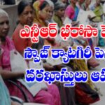 ఎన్టీఆర్ భరోసా పెన్షన్లు పథకంలో స్పౌజ్ క్యాటగిరి పెన్షన్లు