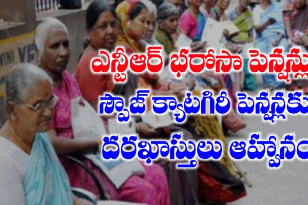ఎన్టీఆర్ భరోసా పెన్షన్లు పథకంలో స్పౌజ్ కేటగిరి క్రింద పెన్షన్ దరఖాస్తుల ఆహ్వానం | NTR BHAROSA PENSION SCHEME ఎన్టీఆర్ భరోసా పెన్షన్లు పథకంలో స్పౌజ్ క్యాటగిరి పెన్షన్లు