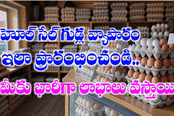 హోల్ సేల్ గుడ్ల వ్యాపారం ఇలా ప్రారంభించండి మంచి లాభాలు వస్తాయి | How to Start Wholesale Egg Business in Telugu Wholesale Egg Business Plan