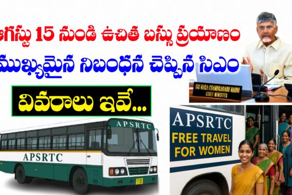 మహిళలకు ఉచిత బస్సు ప్రయాణం పథకం పై ముఖ్యమంత్రి కీలక ప్రకటన | AP CM announcement on free bus travel మహిళలకు ఉచిత బస్సు ప్రయాణం పథకం