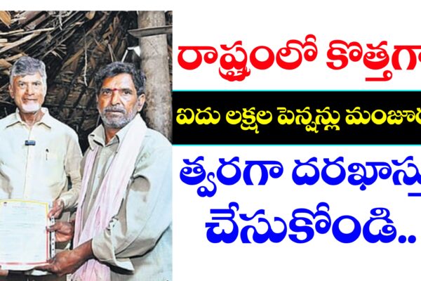 NTR భరోసా కొత్త పెన్షన్లు
