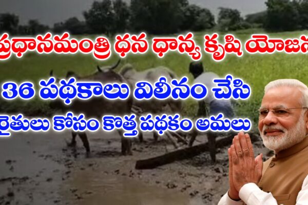 ప్రధానమంత్రి ధన ధాన్య కృషి యోజన పథకం | రైతుల కోసం 36 ప్రభుత్వ పథకాలు విలీనం చేసి కొత్త పథకం అమలు ప్రధానమంత్రి ధన ధాన్య కృషి యోజన పథకం
