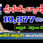 IBPS Clerk Recruitment 2025 apply