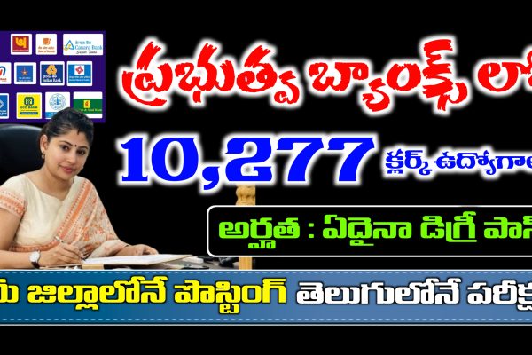 IBPS Clerk Notification 2025 in Telugu | IBPS Clerk Qualification, Apply Online, Age, Selection Process | Latest Bank Jobs IBPS Clerk Recruitment 2025 apply