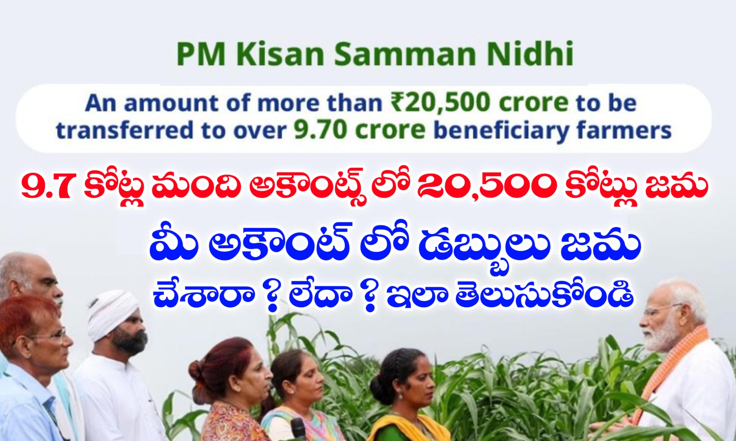 PM Kisan Scheme Status