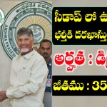 SEEDAP Jobs