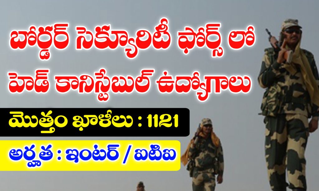 BSF Head Constable Notification 2025