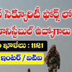 BSF Head Constable Notification 2025