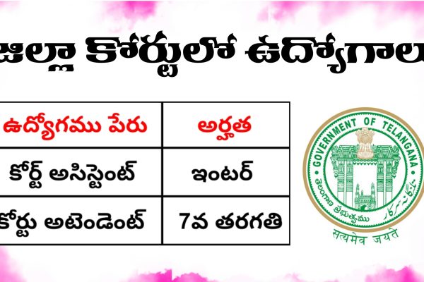 తెలంగాణ జిల్లా కోర్టులో ఉద్యోగాలకు దరఖాస్తులు ఆహ్వానం | జాబ్స్ తెలంగాణ జిల్లా కోర్ట్ ఉద్యోగాలు