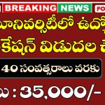 Adikavi Nannaya University Programmer Notification 2025