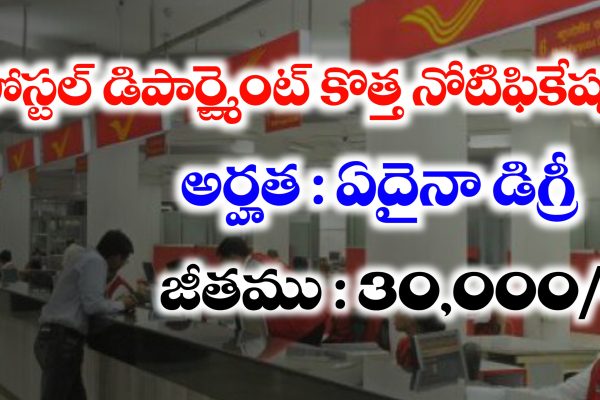 IPPB Executive Jobs Recruitment 2025 | India Post Payments Bank Notification 2025 Postal Department Jobs Recruitment 2025