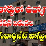 AP District Court Office Subordinate Jobs Recruitment 2025 | Latest Government Jobs AP District Court Jobs