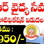NTR Vaidya Seva Trust Jobs