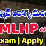 MLHP Jobs Notification 2025
