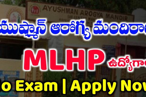 MLHP Jobs Notification 2025