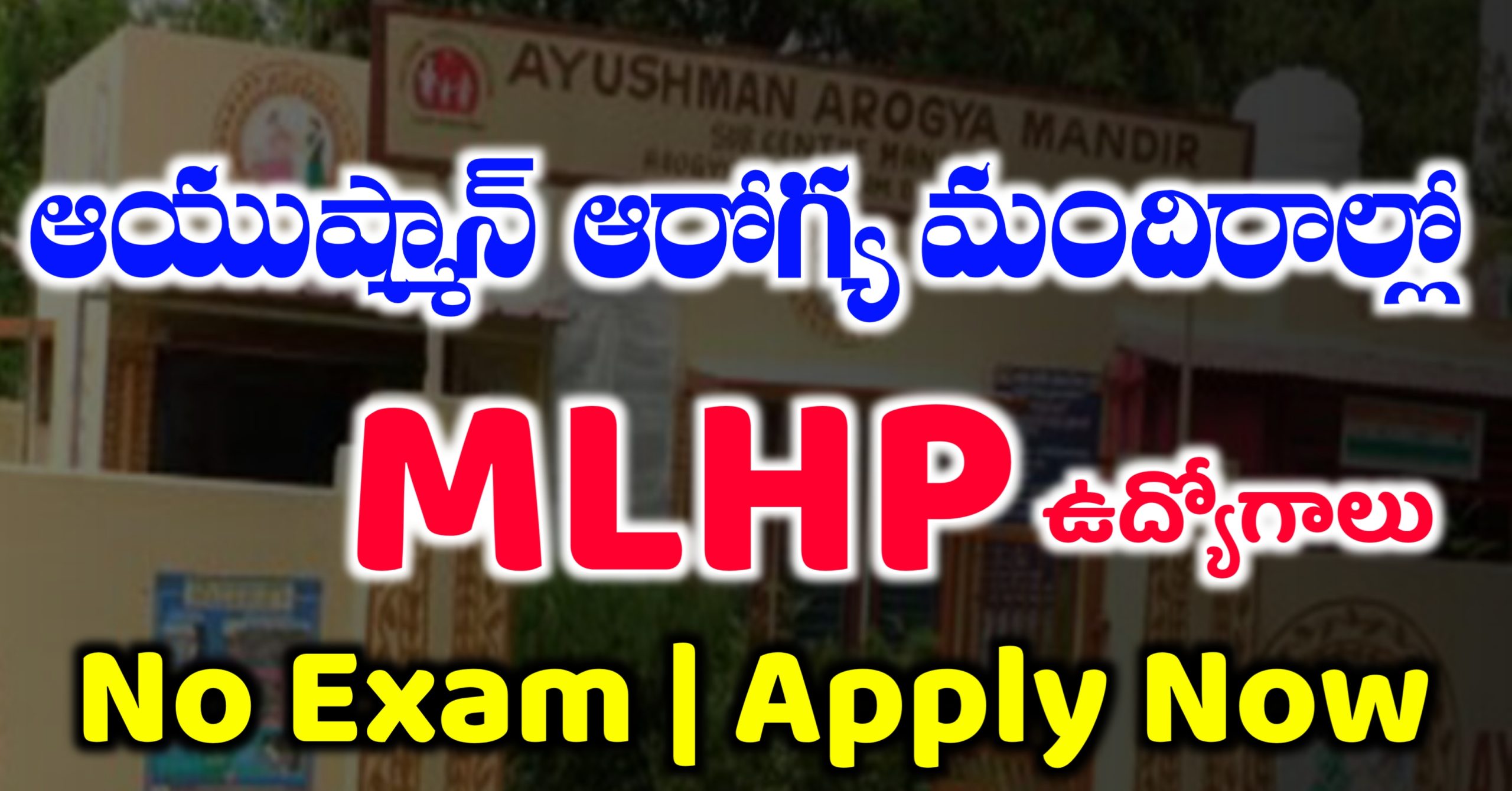 MLHP Jobs Notification 2025