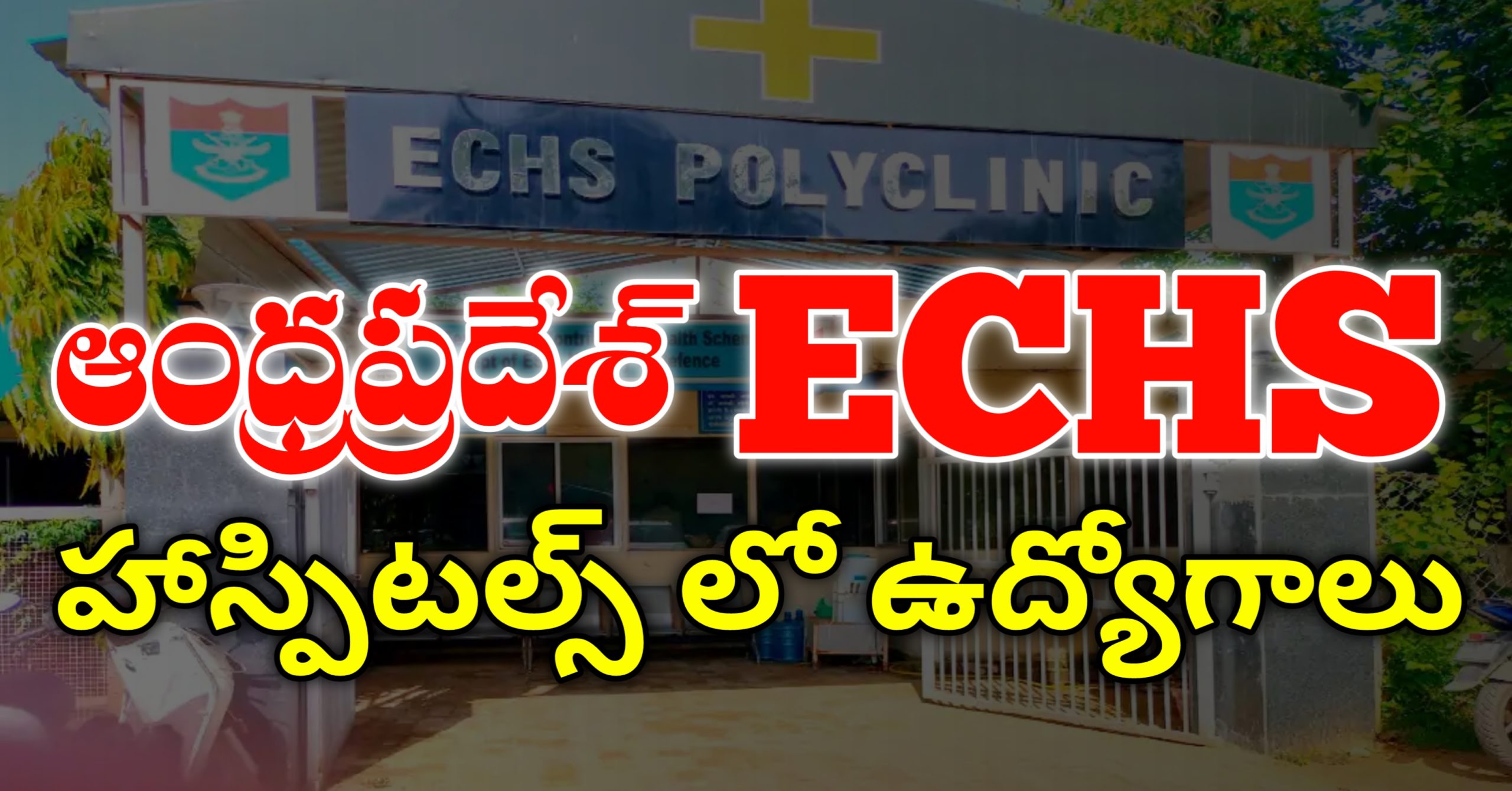 Andhra Pradesh ECHS Jobs