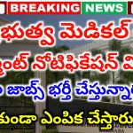 AP Contract Basis Jobs 2025