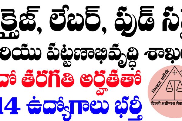 DSSSB MTS Vacancy 2025