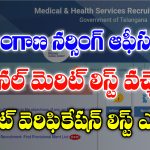 Download Telangana Nursing Officer Provision Merit List
