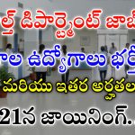 AP Government Jobs